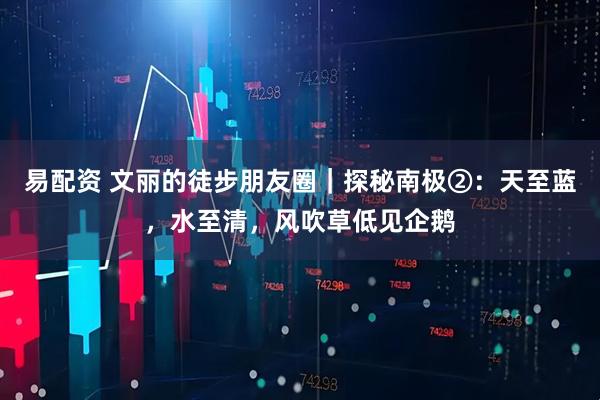 易配资 文丽的徒步朋友圈｜探秘南极②：天至蓝，水至清，风吹草低见企鹅
