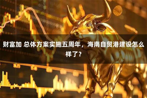 财富加 总体方案实施五周年，海南自贸港建设怎么样了？