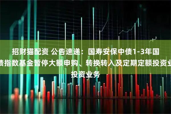 招财猫配资 公告速递：国寿安保中债1-3年国开债指数基金暂停大额申购、转换转入及定期定额投资业务