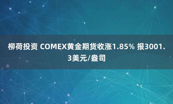 柳荷投资 COMEX黄金期货收涨1.85% 报3001.3美元/盎司