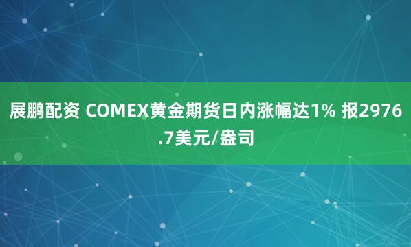 展鹏配资 COMEX黄金期货日内涨幅达1% 报2976.7美元/盎司